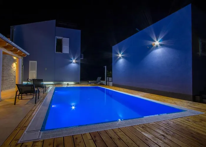 Verunic 14286d 벨리 라트