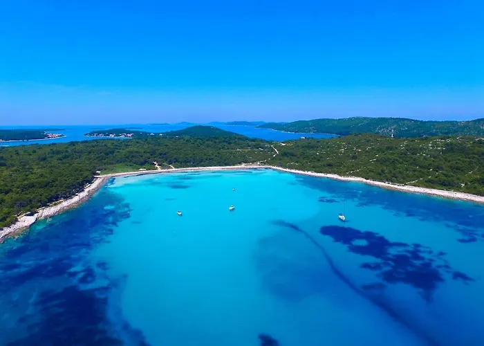 Verunic 14286d * Veli Rat